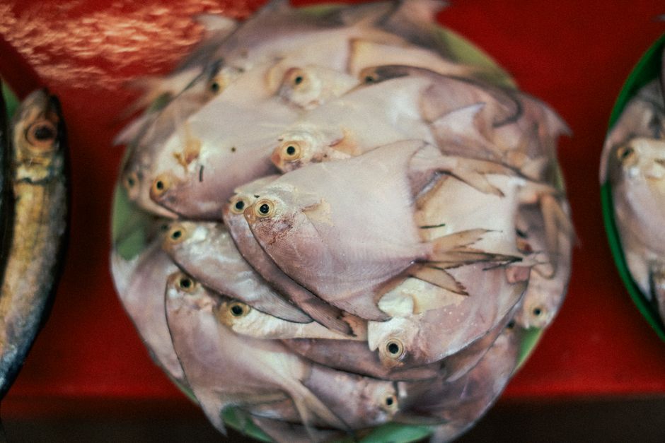 Buying Shrimp: What Actually Works