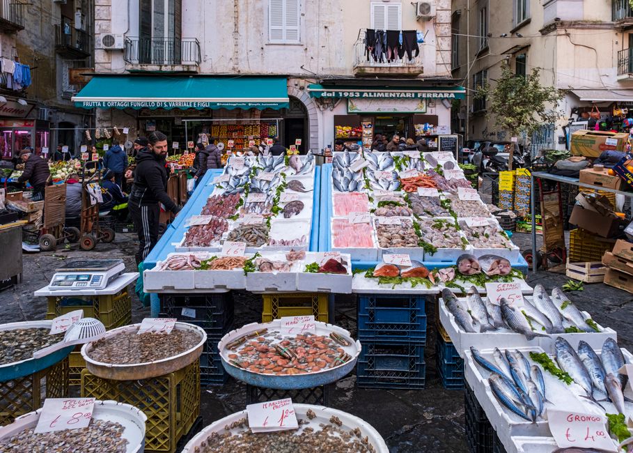 Thawing Frozen Seafood: Questions Worth Asking